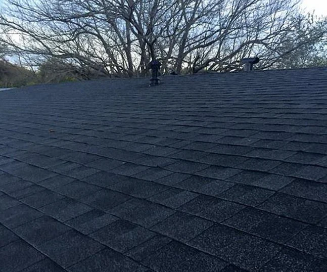 A close view of an asphalt-shingle roof.